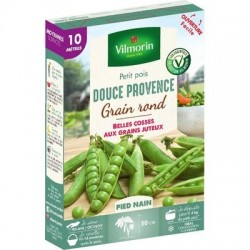 Petit pois DOUCE PROVENCE - VILMORIN