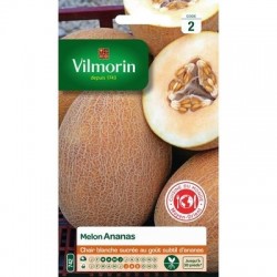 Melon ANANAS - VILMORIN