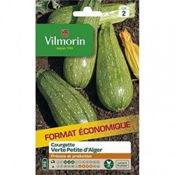 Courgette VERTE PETITE D'ALGER - VILMORIN