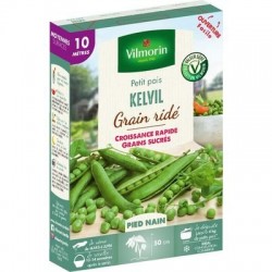 Petit pois KELVIL - VILMORIN