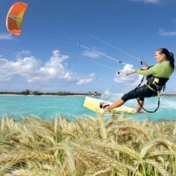 Triticale KITESURF AB non traité