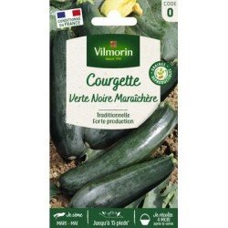 Courgette VERTE NOIRE MARAÎCHÈRE - VILMORIN