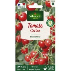 Tomate CERISE - VILMORIN