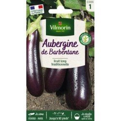 Aubergine DE BARBENTANE - VILMORIN