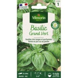 Basilic GRAND VERT - VILMORIN