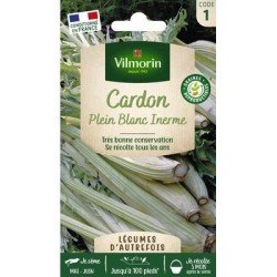 Cardon PLEIN BLANC INERME - VILMORIN