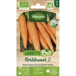 Carotte BERLIKUMER 2 BIO - VILMORIN