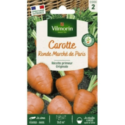 Carotte Ronde Marché de Paris (Rondo) - VILMORIN