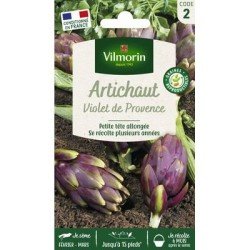 Artichaut VIOLET DE PROVENCE - VILMORIN