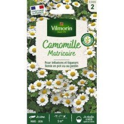 Camomille - VILMORIN