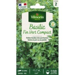 Basilic Fin Vert Nain Compact - VILMORIN