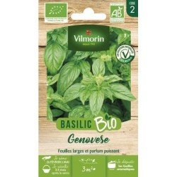 Basilic GENOVÈSE BIO - VILMORIN