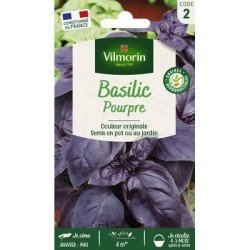 Basilic Pourpre - VILMORIN