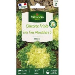 Chicorée Frisée Très Fine MARAÎCHÈRE 3 - VILMORIN