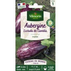 Aubergine LISTADA DE GANDIA - VILMORIN