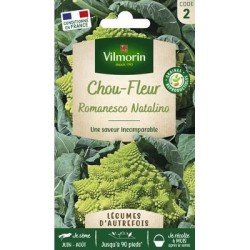 Chou-fleur ROMANESCO Précoce - VILMORIN