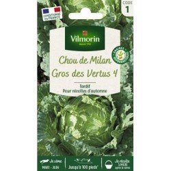 Chou de Milan Gros des VERTUS 4 - VILMORIN