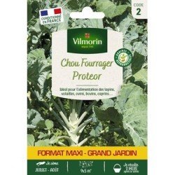 Chou Fourrager PROTEOR - VILMORIN