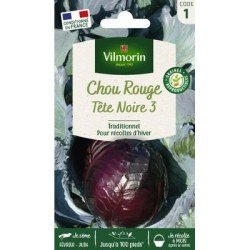 Chou Rouge TÊTE NOIRE 3 - VILMORIN