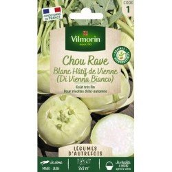 Chou Rave Blanc HÂTIF DE VIENNE - VILMORIN