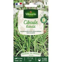 Ciboule de Chine (Ail à couper) KOBOLD - VILMORIN