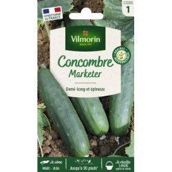 Concombre Marketer - VILMORIN