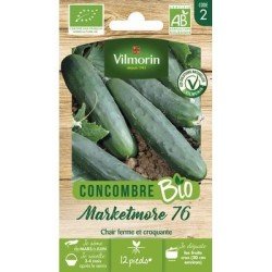 Concombre MARKETMORE 76 BIO - VILMORIN