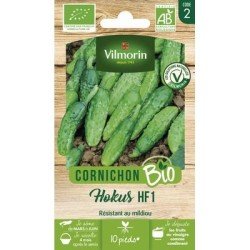 Cornichon HOKUS BIO - VILMORIN