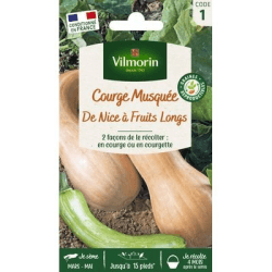 Courge Musquée DE NICE À FRUITS LONGS - VILMORIN