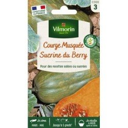 Courge Musquée SUCRINE DU BERRY - VILMORIN