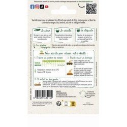 Conditionnement Courge Musquée SUCRINE DU BERRY - VILMORIN