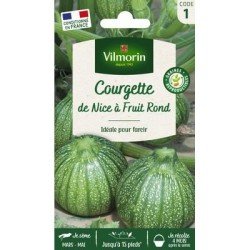 Courgette DE NICE À FRUIT ROND - VILMORIN