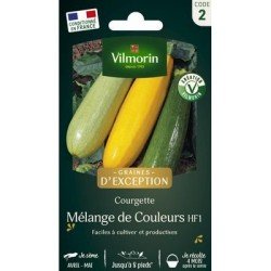 Courgette MÉLANGE DE COULEURS - VILMORIN