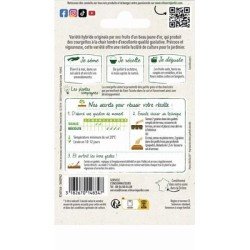 Conditionnement Courgette ORÉLIA HF1 - VILMORIN