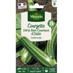 Courgette VERTE NON COUREUSE D'ITALIE - VILMORIN