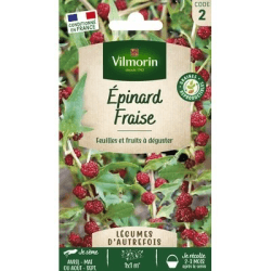 Épinard Fraise - VILMORIN