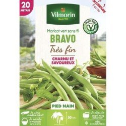 Haricot vert sans fil BRAVO - VILMORIN