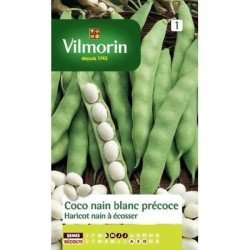 Haricot nain à écosser COCO BLANC Précoce - VILMORIN