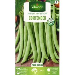 Haricot nain mangetout CONTENDER - VILMORIN