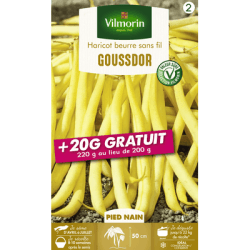 Haricot nain mangetout GOUSSDOR - VILMORIN