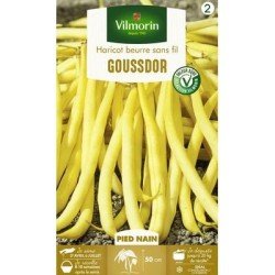 Haricot nain mangetout GOUSSDOR - VILMORIN