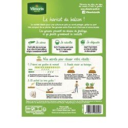 Conditionnement Haricot vert sans fil MASCOTTE - VILMORIN