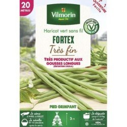 Haricot vert sans fil FORTEX - VILMORIN