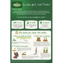 Haricot vert sans fil FORTEX - VILMORIN