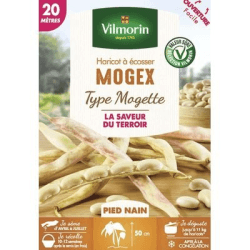 Haricot nain à écosser MOGEX - VILMORIN