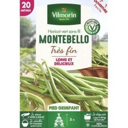 Haricot vert sans fil MONTEBELLO - VILMORIN