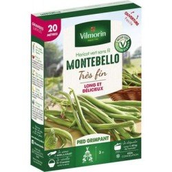 Conditionnement Haricot vert sans fil MONTEBELLO - VILMORIN