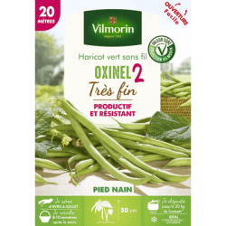 Haricot vert sans fil OXINEL 2 - VILMORIN