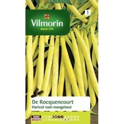 Haricot nain mangetout DE ROCQUENCOURT - VILMORIN