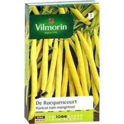 Conditionnement Haricot nain mangetout DE ROCQUENCOURT - VILMORIN